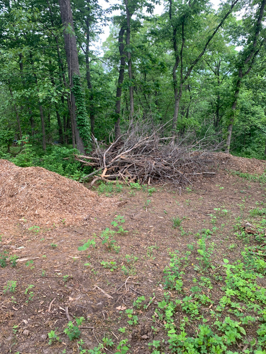 Wood Chips